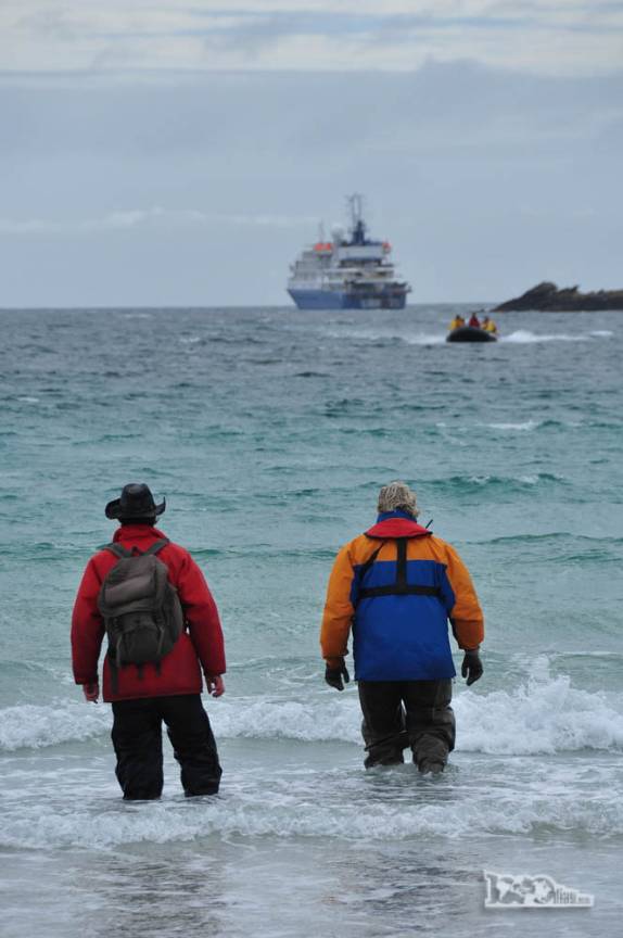 Esperando a chegada de mais um zodiac repleto de passageiros na praia de Dyke Bay, em Carcass Island, no noroeste das Ilhas Malvinas